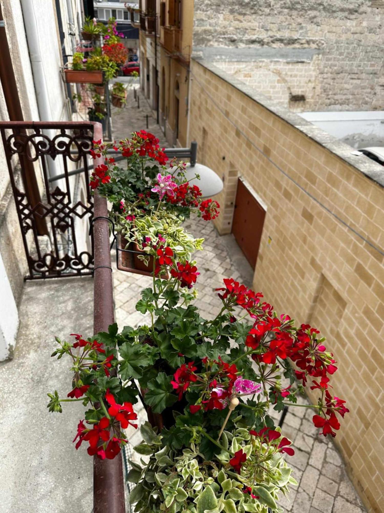 Zephir Suite Brindisi Luaran gambar